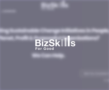 BizSkills