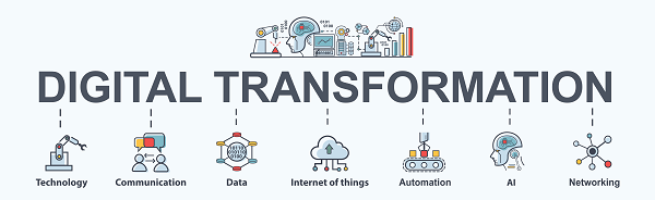What is the Digital Transformation Grant?